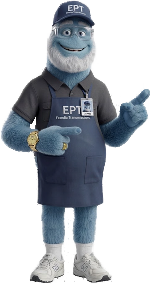 James, the EPT specialist, pointing at the VIN Verify tool